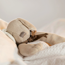 Load image into Gallery viewer, Organic Soft Toy Comforter ☼ Paws the Puppy