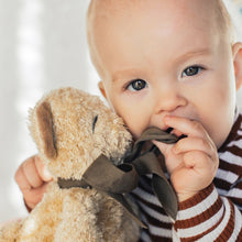 Load image into Gallery viewer, Organic Plush Toy ☼ Floppy Cubby the Teddy Bear
